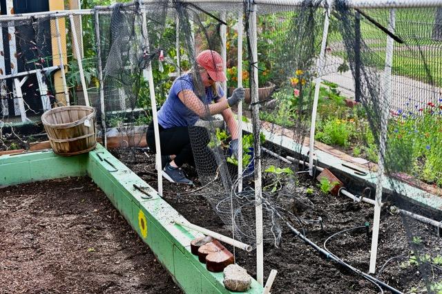 person farming